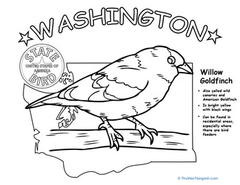 Washington State Bird