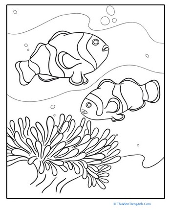 Swimming Fish Coloring Page