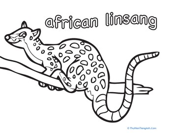 African Linsang Coloring Page