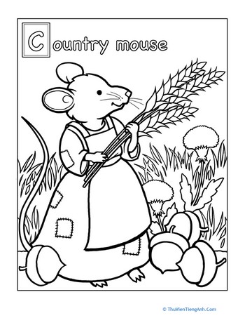 Color the Country Mouse