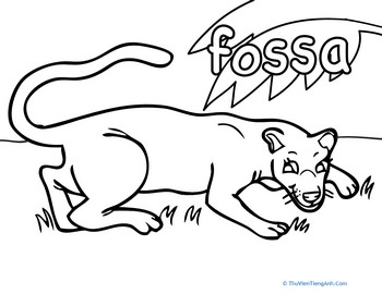 Color the Fossa!