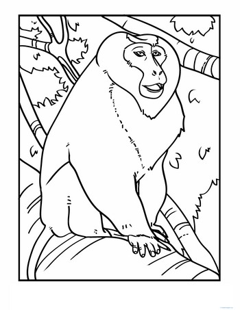 Color the Macaque