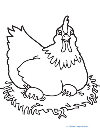 Chicken Coloring Page: Color the Hen