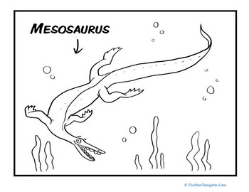 Color the Mesosaurus