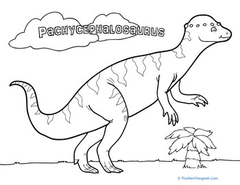 Color the Pachycephalosaurus