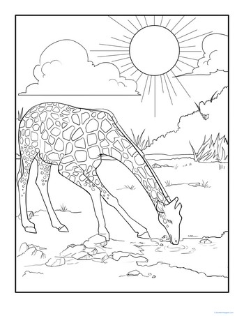 Thirsty Giraffe Coloring Page
