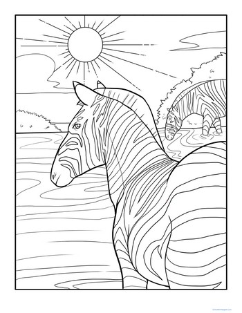 Color the Wading Zebras