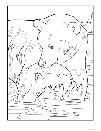 Color the Fishing Bear