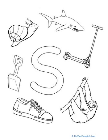 S Is For…