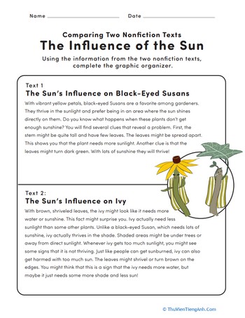 Comparing Two Nonfiction Texts: The Influence of the Sun