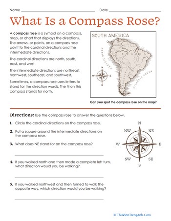What Is a Compass Rose?