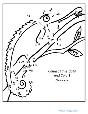 Chameleon Connect the Dots