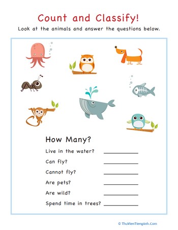 Count and Classify: Animals