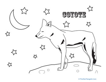 Coyote Coloring Sheet