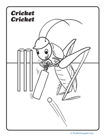 Cricket Cricket
