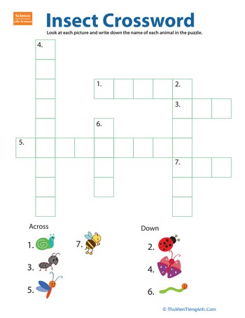 Critter Crossword: Bugs