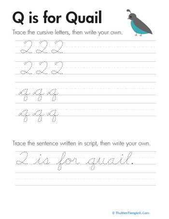 Cursive Handwriting: “Q” is for Quail