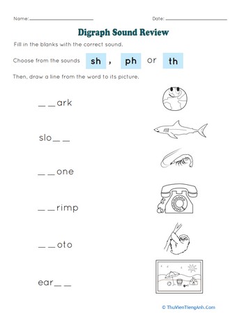 Digraph Sound Review