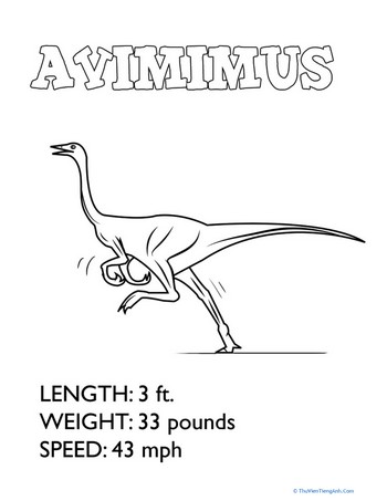 Dino Coloring: Avimimus
