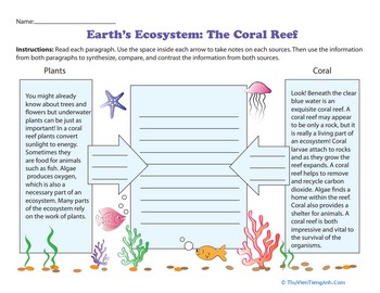 Earth’s Ecosystem: The Coral Reef