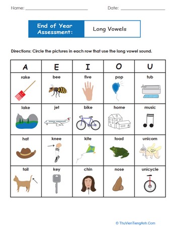 End of Year Assessment: Long Vowels