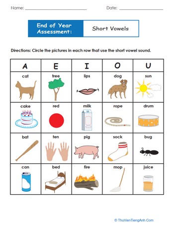 End of Year Assessment: Short Vowels