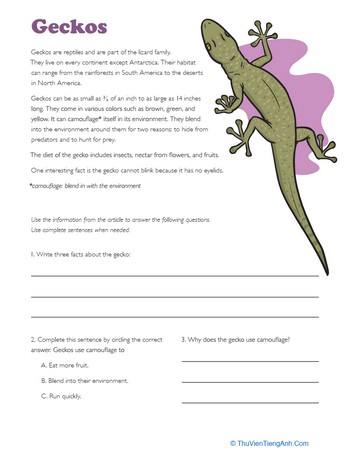 Facts About Geckos