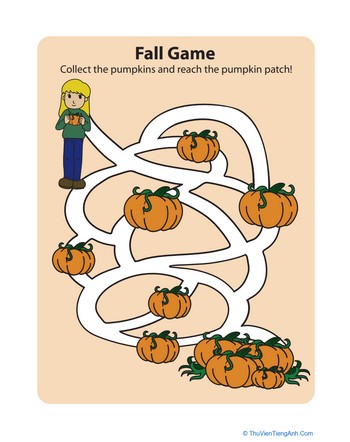 Fall Maze