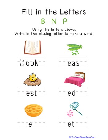 Fill in the Letters: B N P