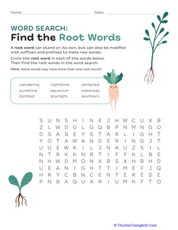 Find the Root Words