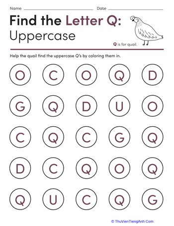 Find the Letter Q: Uppercase