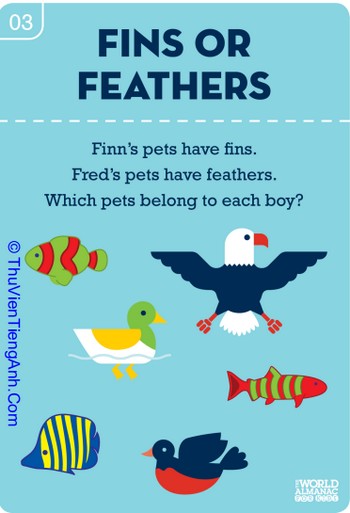 Fins or Feathers? Beginner’s Biology