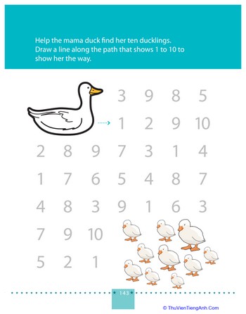 Counting to 10: Help the Mama Duck