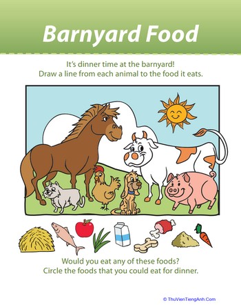 Food Animals Eat!