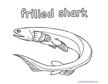 Frilled Shark Coloring Page