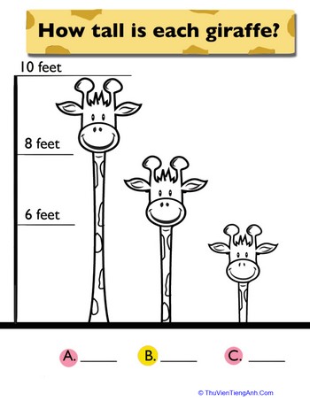 Giraffe Measuring Activity