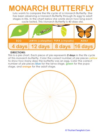 Make a Butterfly Pie Chart!