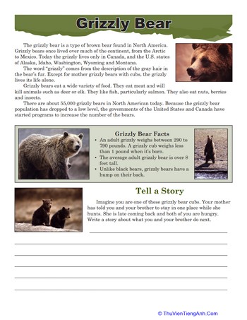 Grizzly Bear Facts