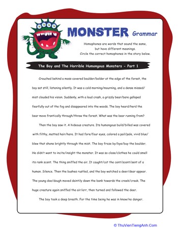 Homophone Story Worksheet