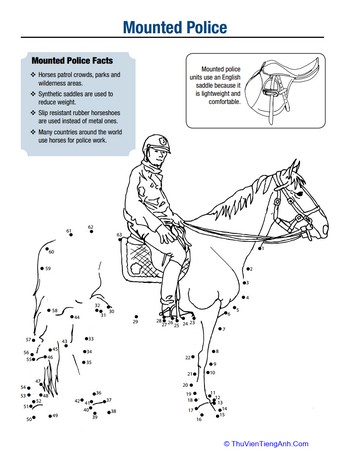 Horse Fun: Mounted Police Horse