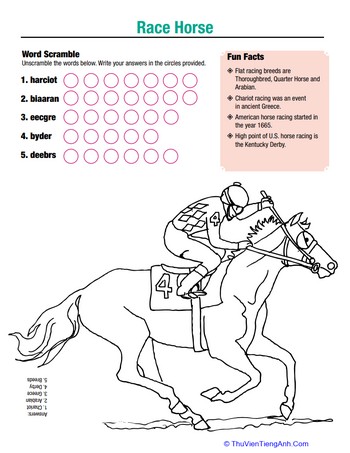 Horse Fun: Race Horse