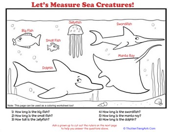 How to Measure: Sea Creatures