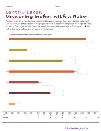 Lengthy Laces: Measuring Inches with a Ruler