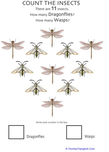 Insect Counting Worksheet: Wasps and Dragonflies