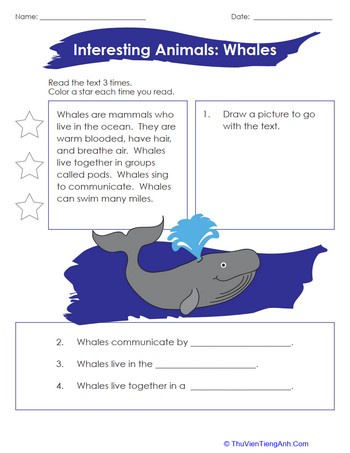 Interesting Animals: Whales