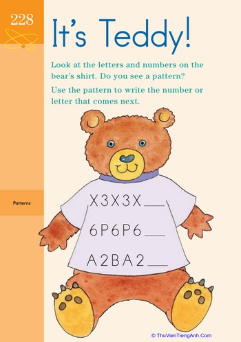 Text Filled Teddy: Identifying Patterns