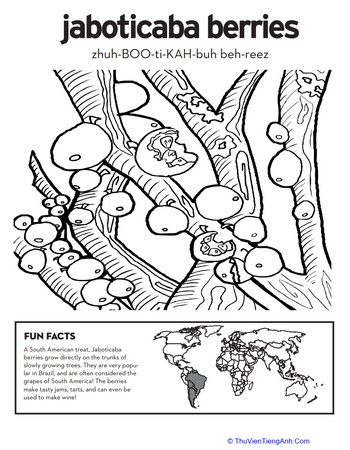 Jaboticaba Berries Coloring Page