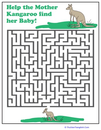 Kangaroo Maze
