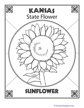 Kansas State Flower
