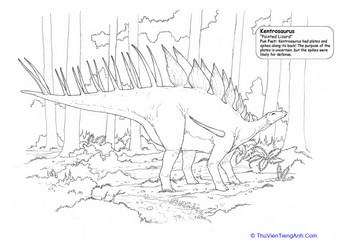 Kentrosaurus Coloring Page